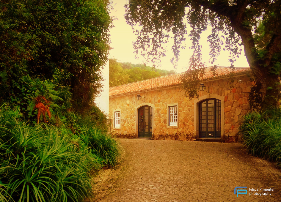 Monserrate gardens - Filipa Pimentel