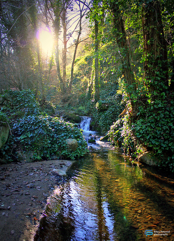 Feel nature - Filipa Pimentel