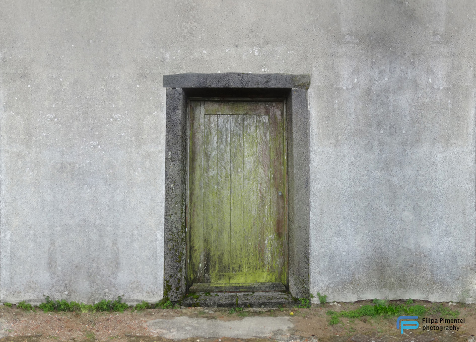 Green door - Filipa Pimentel