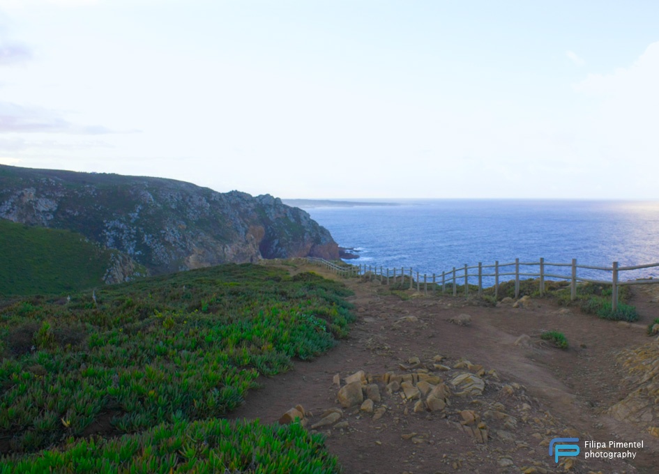 Path to the beach - Filipa Pimentel photography