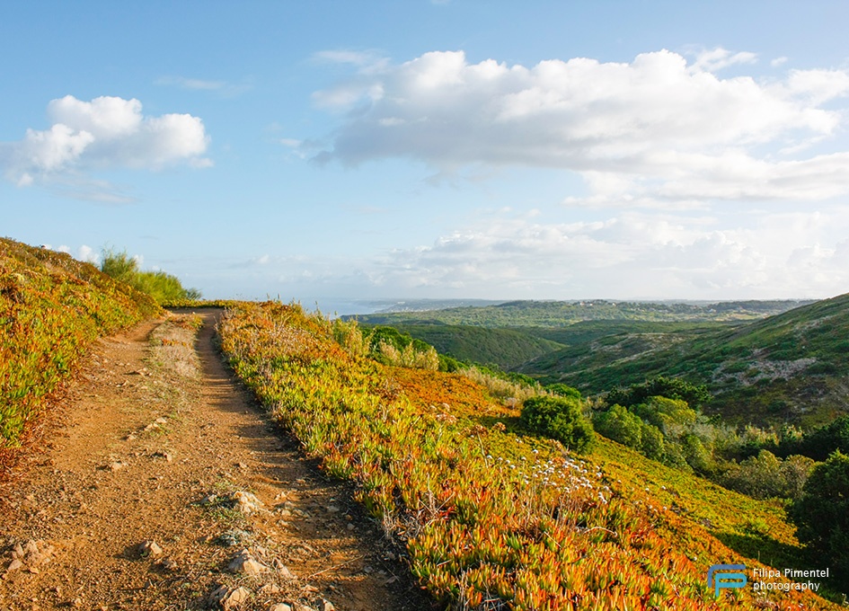 Path to Ursa beach - Filipa Pimentel photography