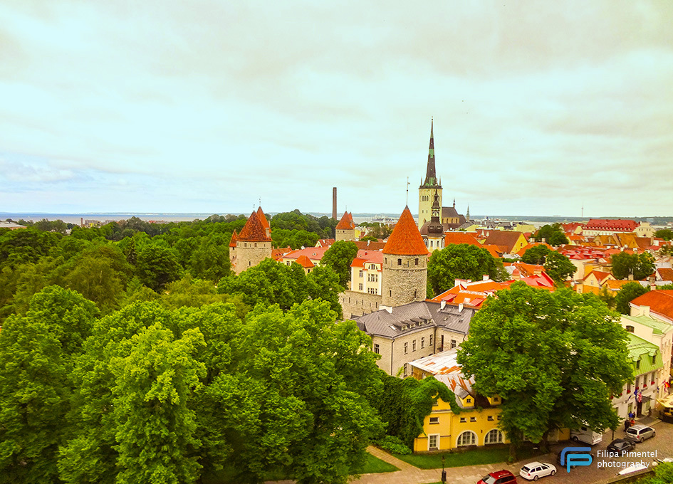 Tallinn