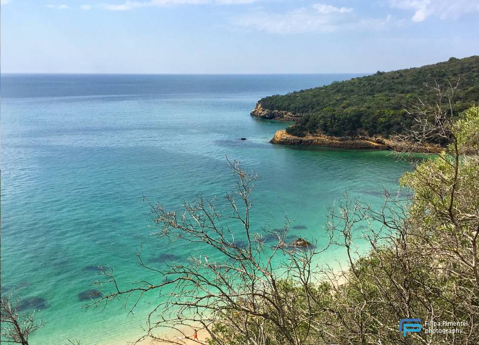 Praia dos Galapinhos, 2019 - Arrábida